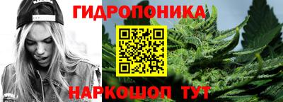 гидропоника Ирбит